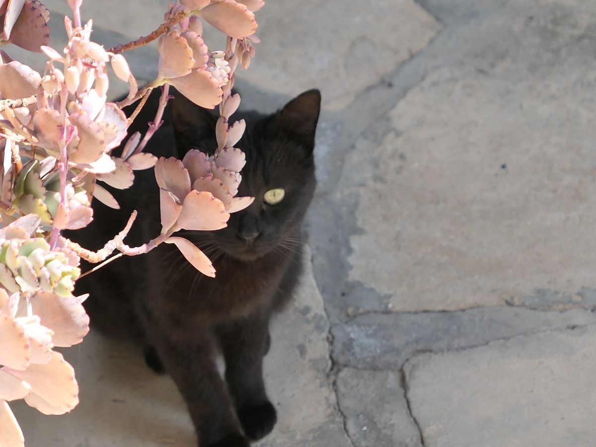 Profil banner